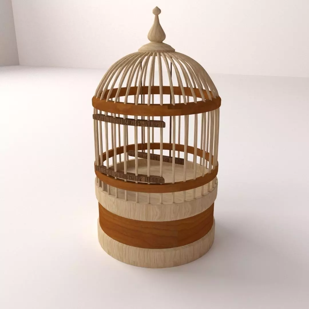 Bird Cage 3D model_0