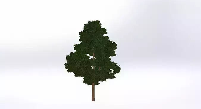 A Tree Free 3D model