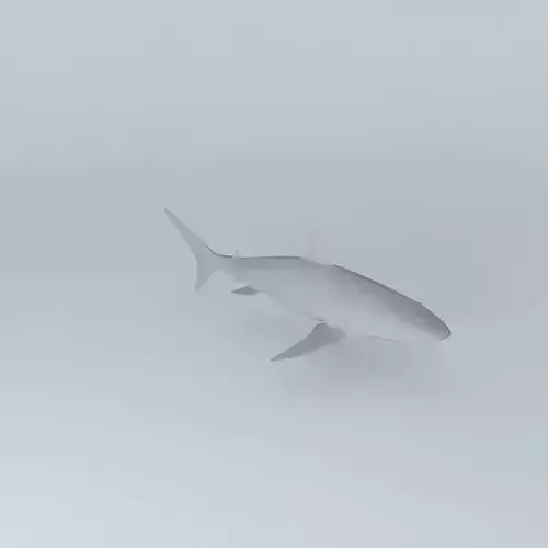 Shark 3D model