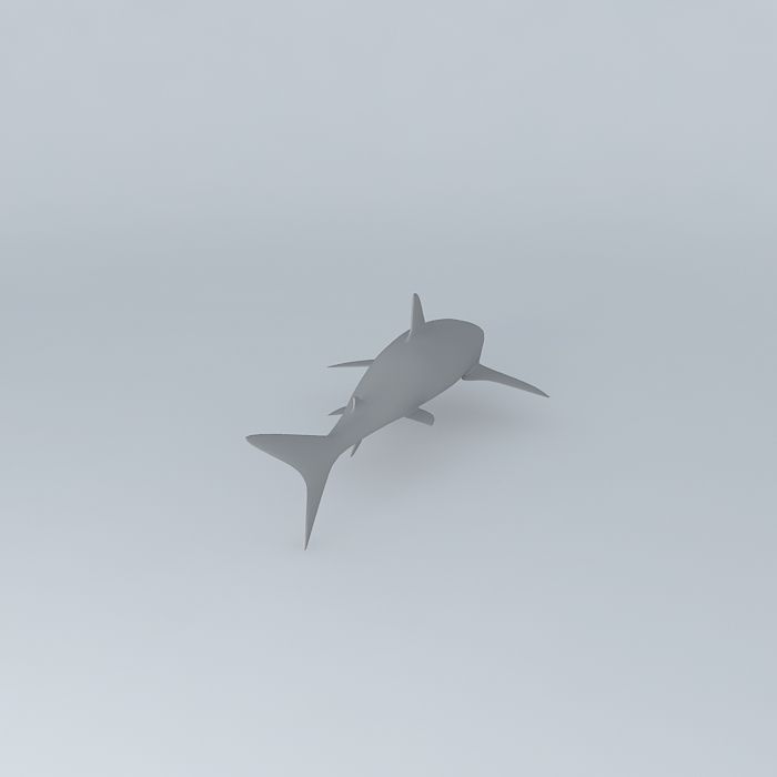 Shark 3D model_1