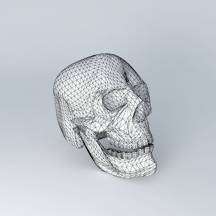 Skull 3D human 3D model_3