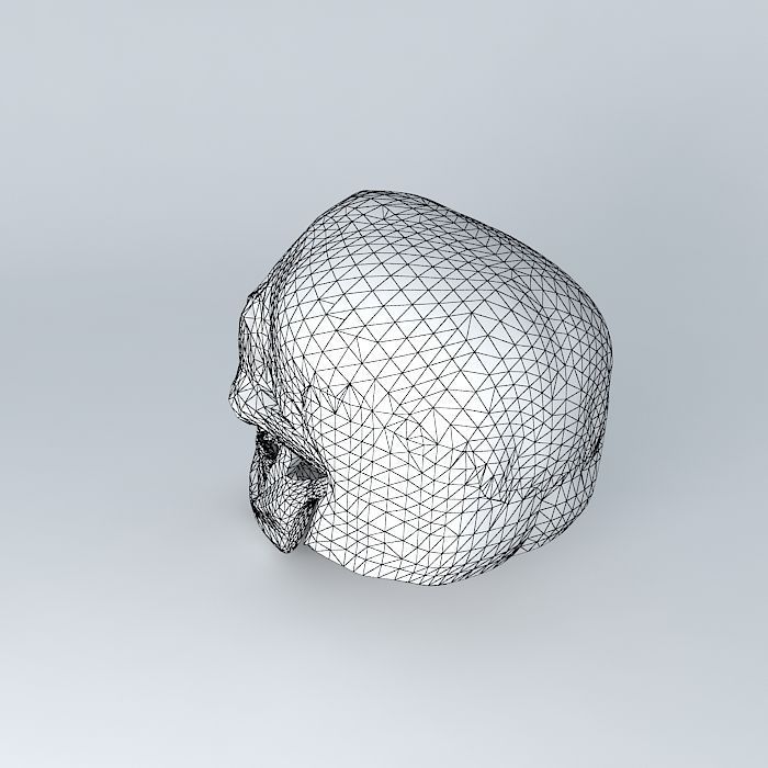 Skull 3D human 3D model_4