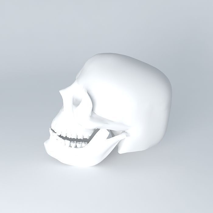 Skull 3D human 3D model_2
