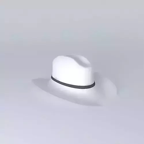 Cowboyhat cowboy hat