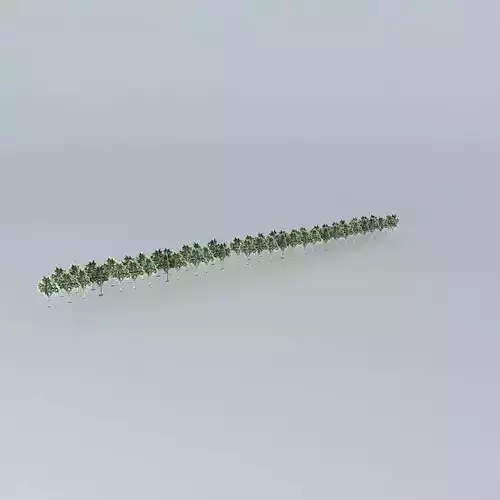 South Promenade Mall Woodland