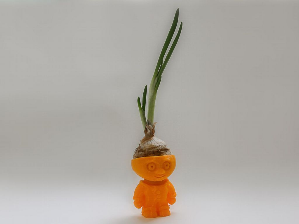 Chipollino Onion Boy Free 3D print model_0