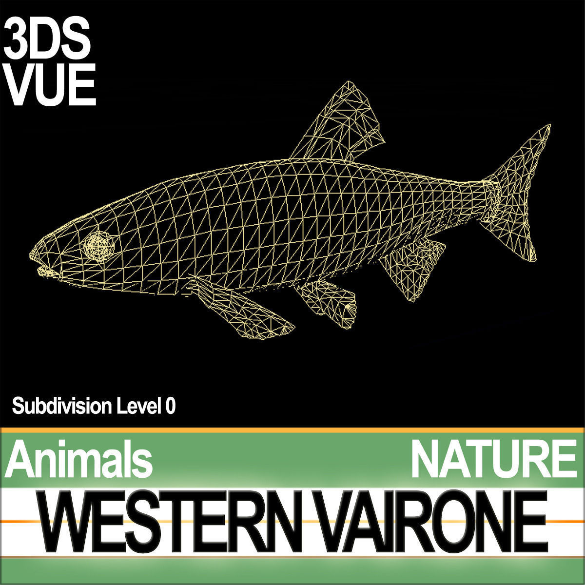 Western Vairone 3D model_5