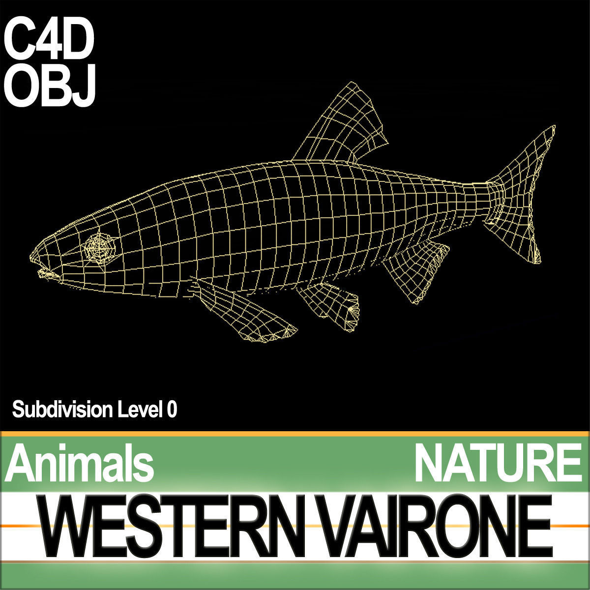 Western Vairone 3D model_4