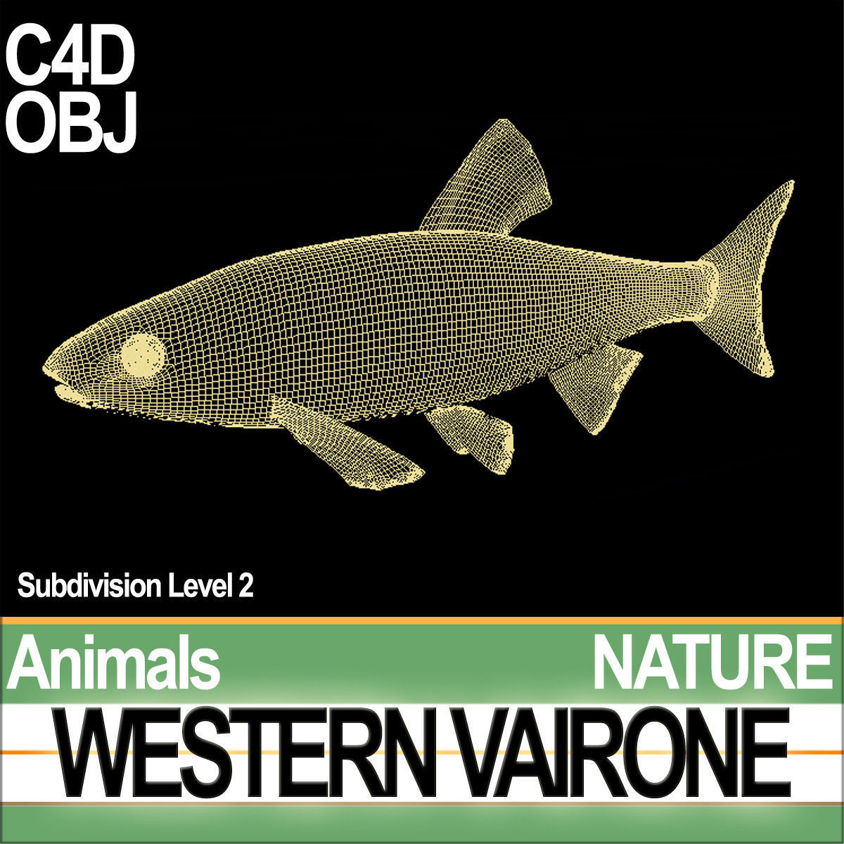 Western Vairone 3D model_6