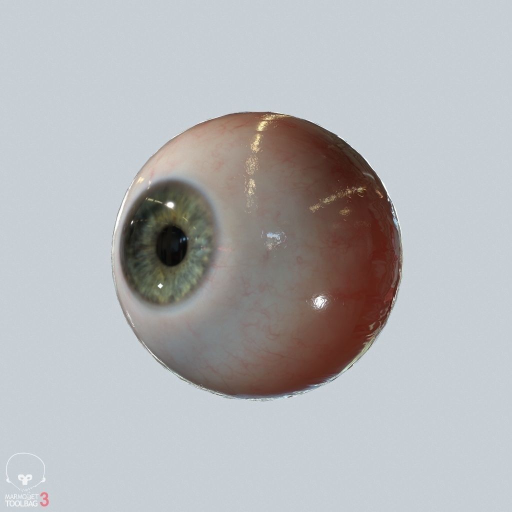 Eyeball Low-poly 3D model_4