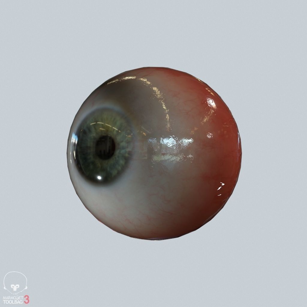 Eyeball Low-poly 3D model_13