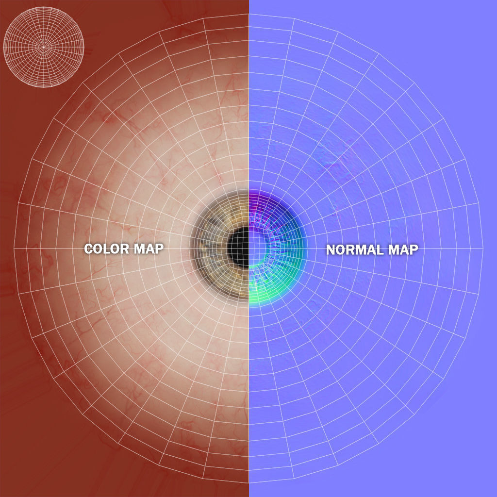 Eyeball Low-poly 3D model_23