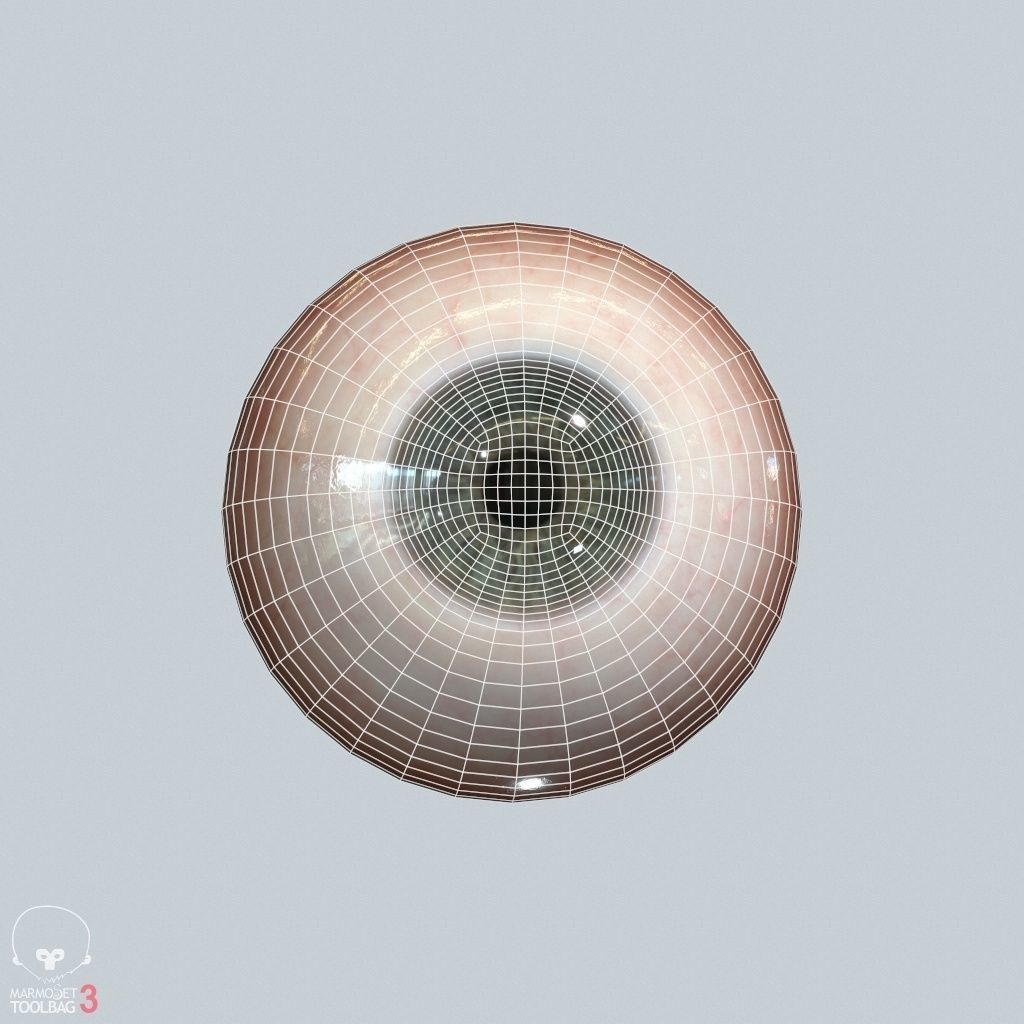 Eyeball Low-poly 3D model_19