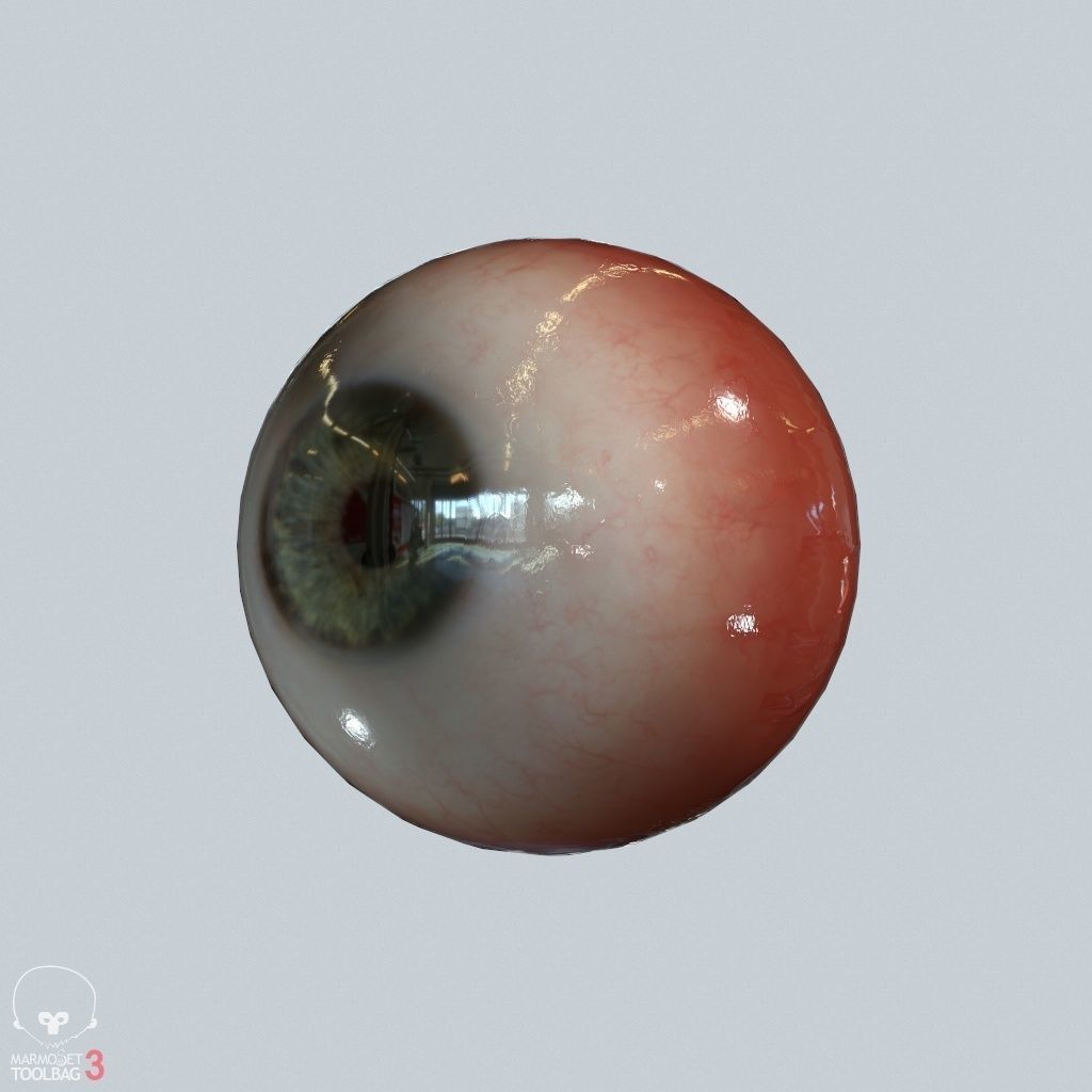 Eyeball Low-poly 3D model_14