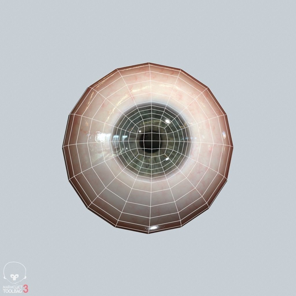 Eyeball Low-poly 3D model_20