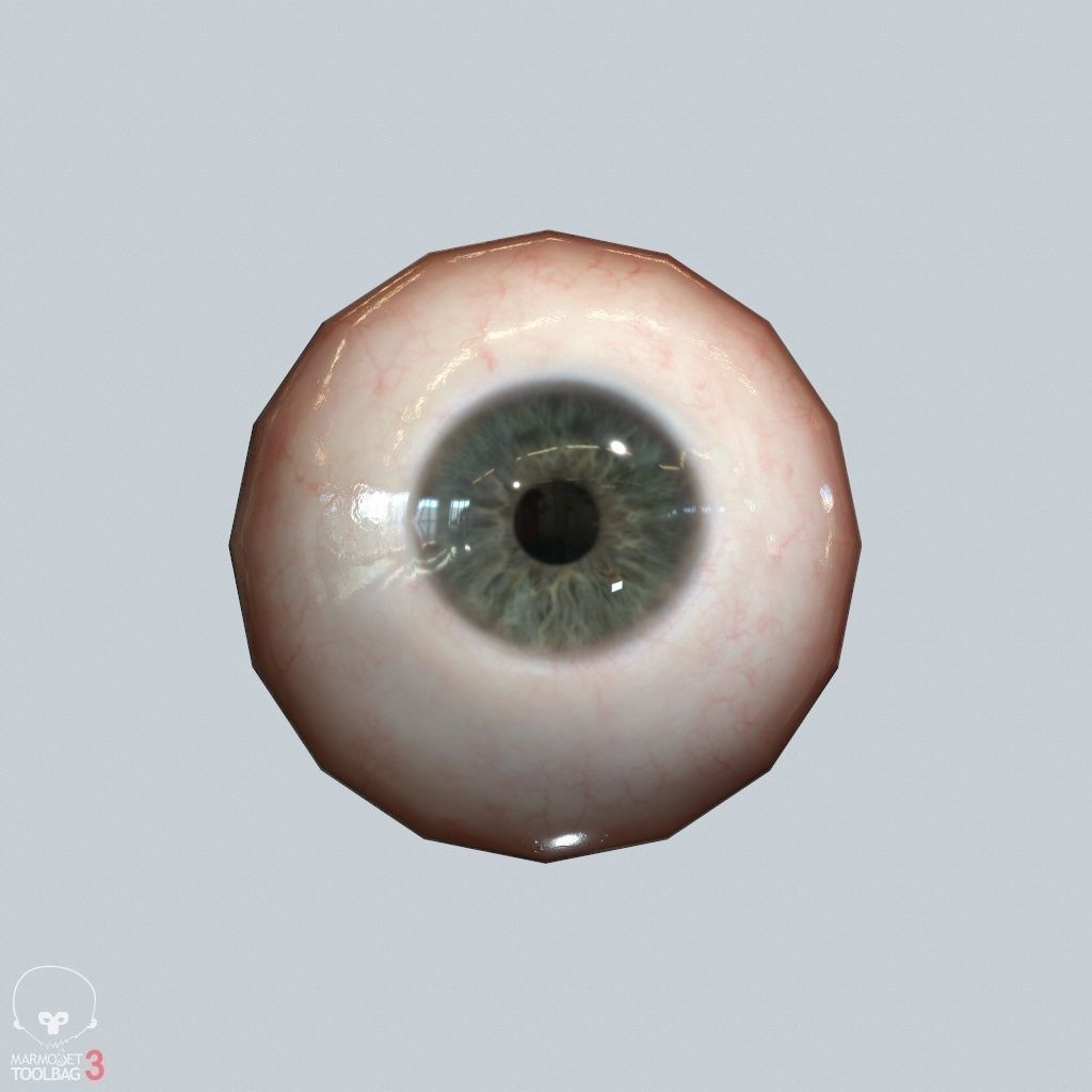 Eyeball Low-poly 3D model_21