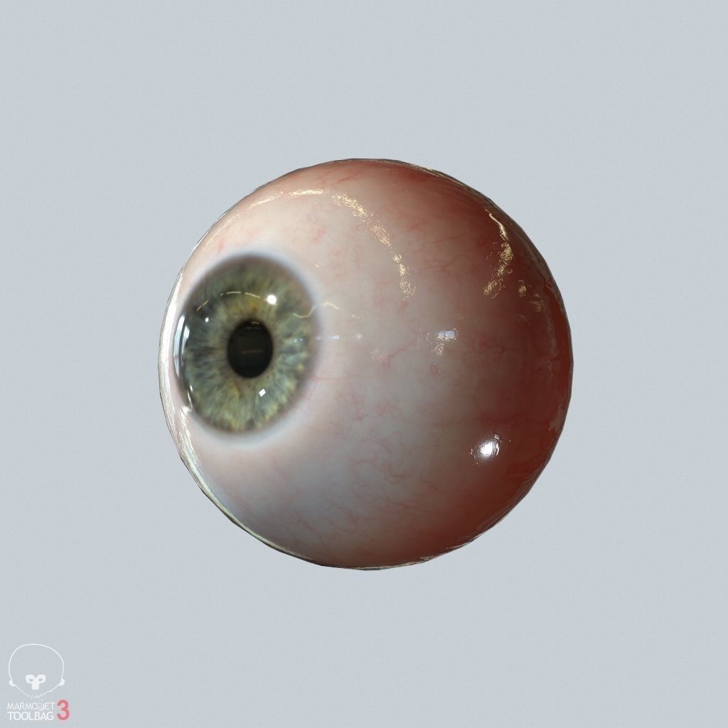 Eyeball Low-poly 3D model_10