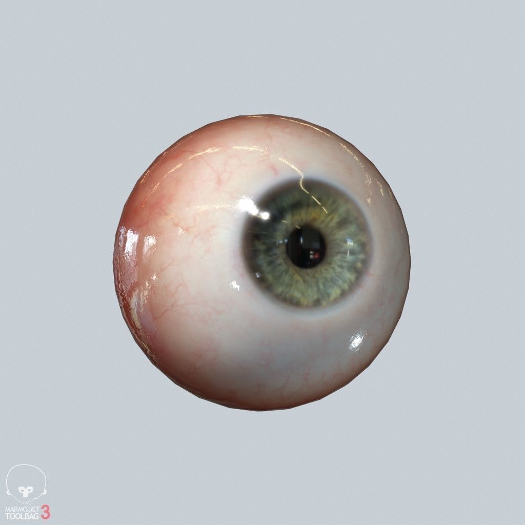 Eyeball Low-poly 3D model_5