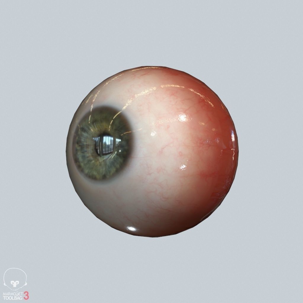 Eyeball Low-poly 3D model_12