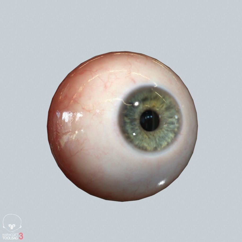 Eyeball Low-poly 3D model_1