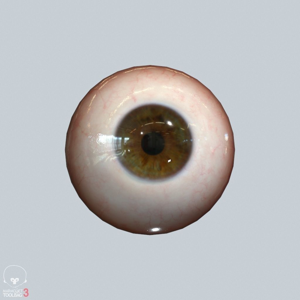 Eyeball Low-poly 3D model_15