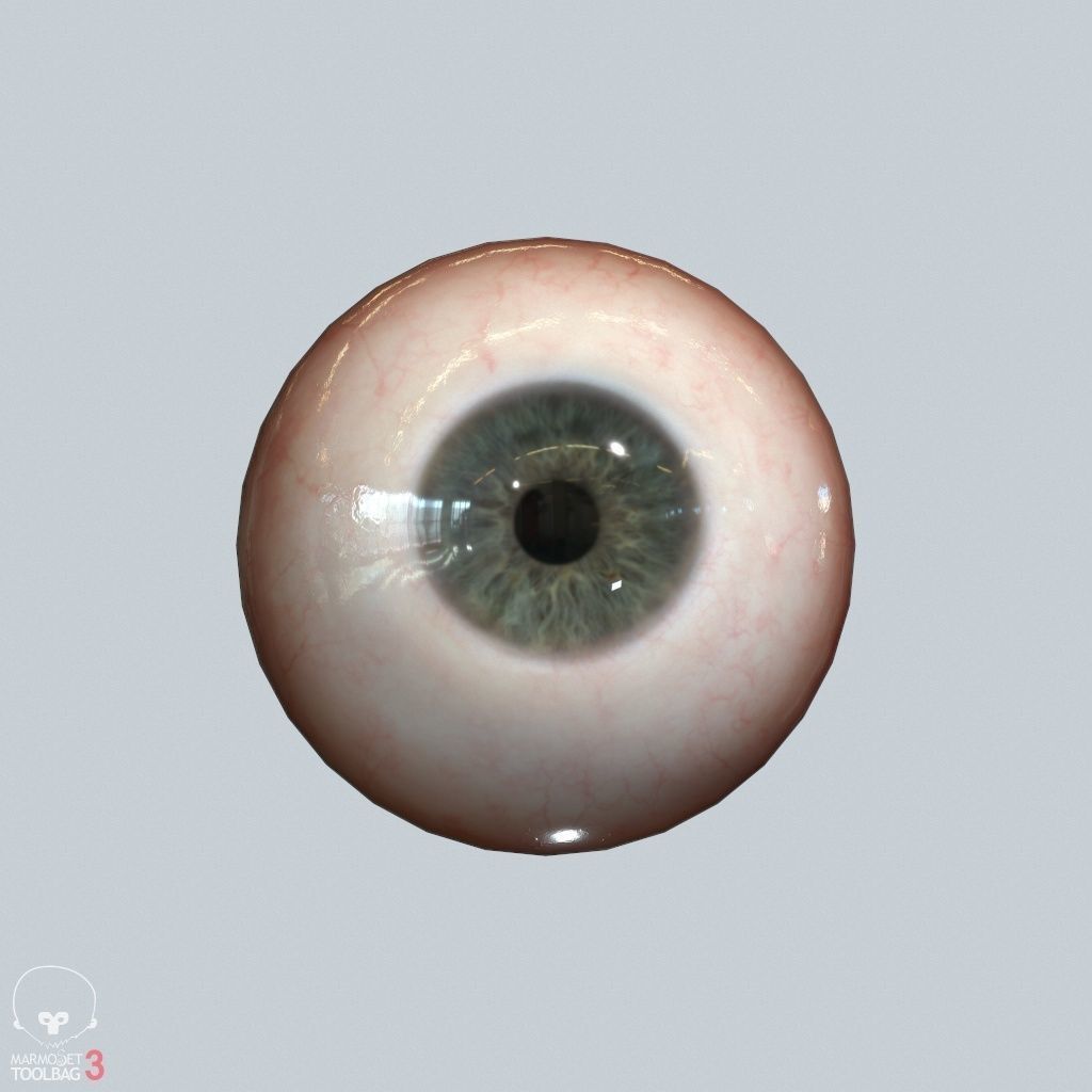 Eyeball Low-poly 3D model_18