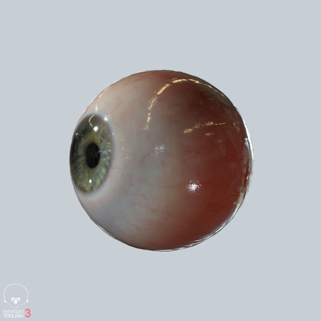 Eyeball Low-poly 3D model_8