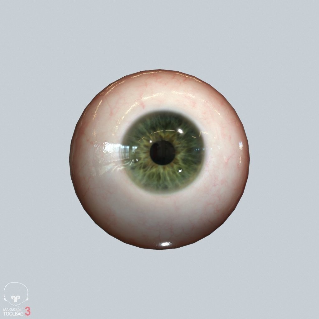 Eyeball Low-poly 3D model_16