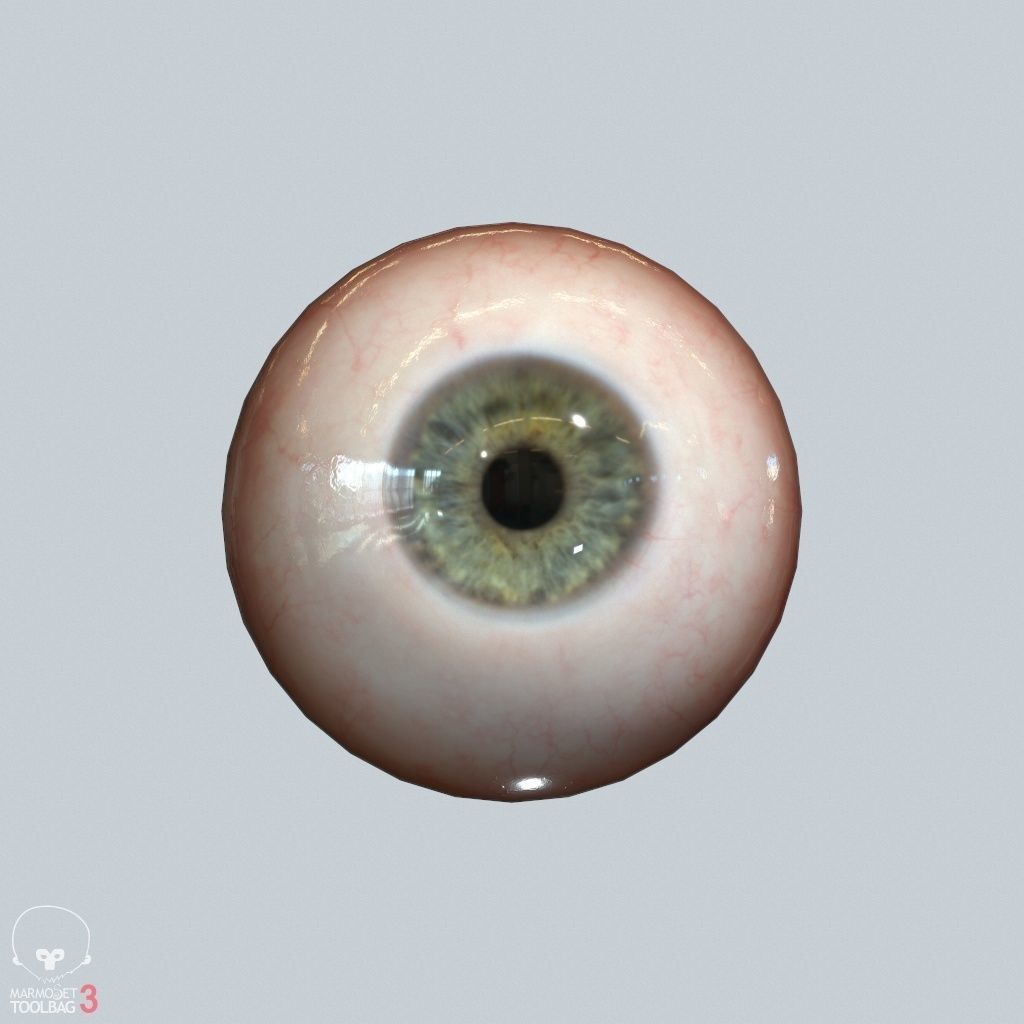 Eyeball Low-poly 3D model_17