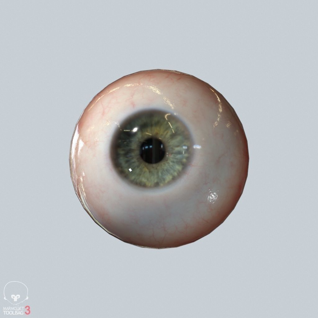 Eyeball Low-poly 3D model_6