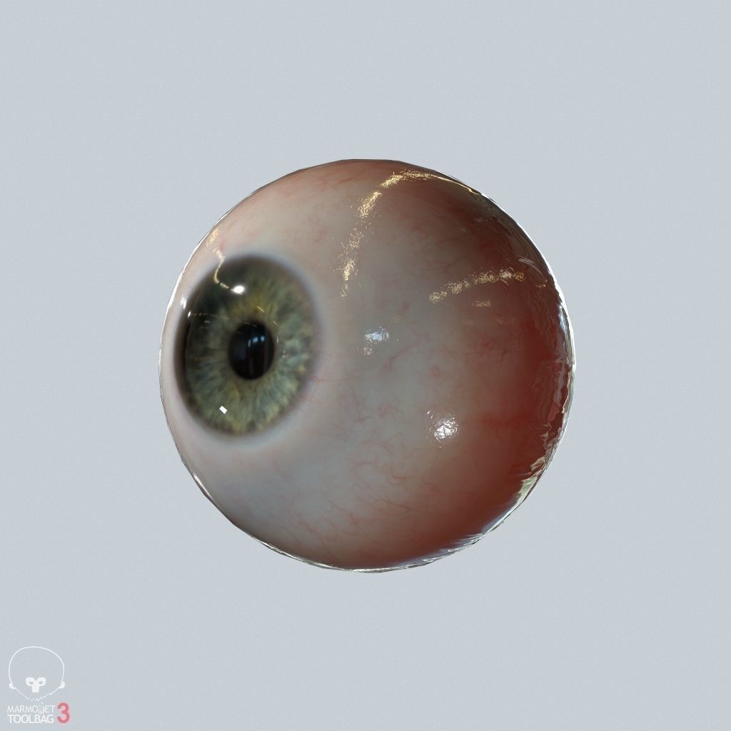 Eyeball Low-poly 3D model_9