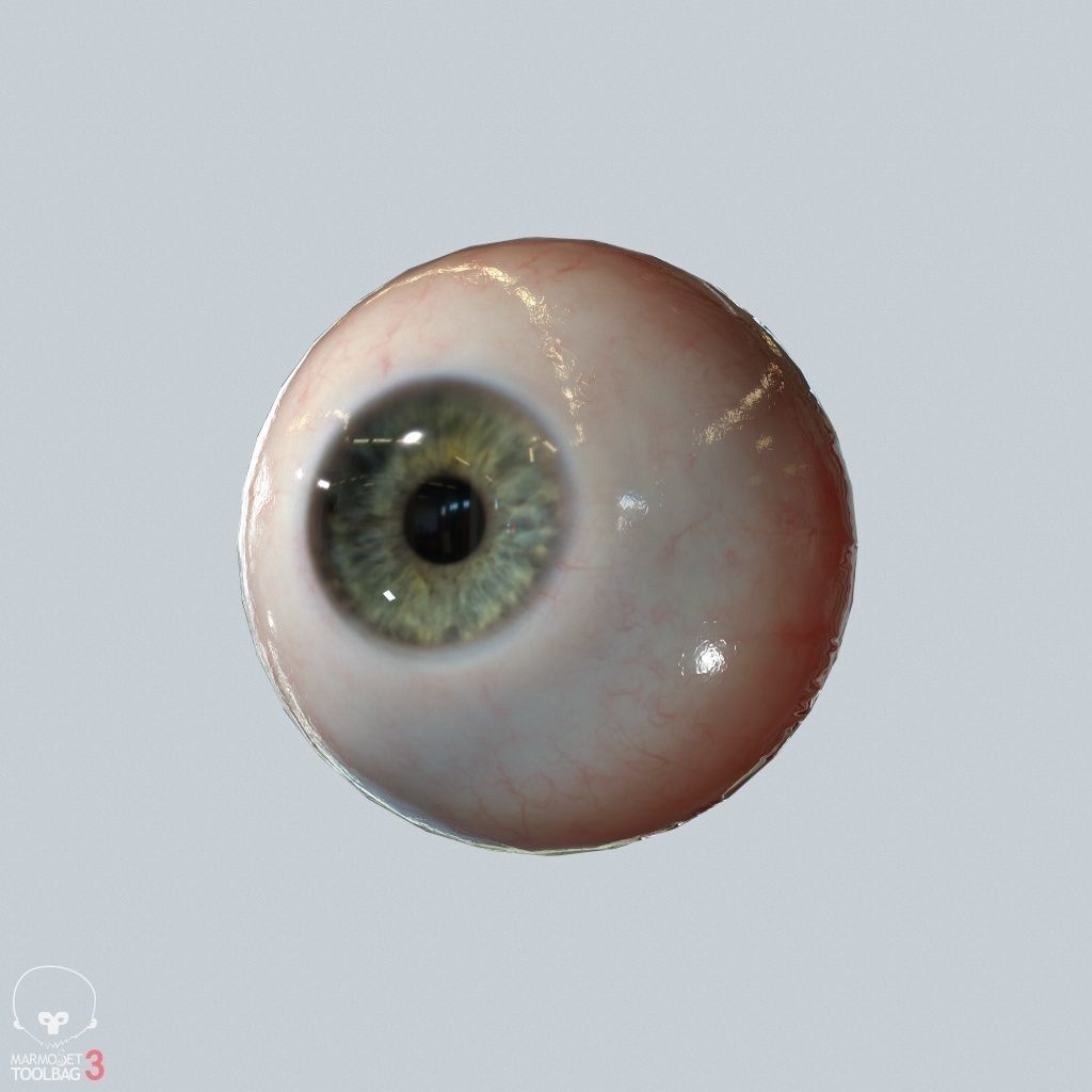 Eyeball Low-poly 3D model_2