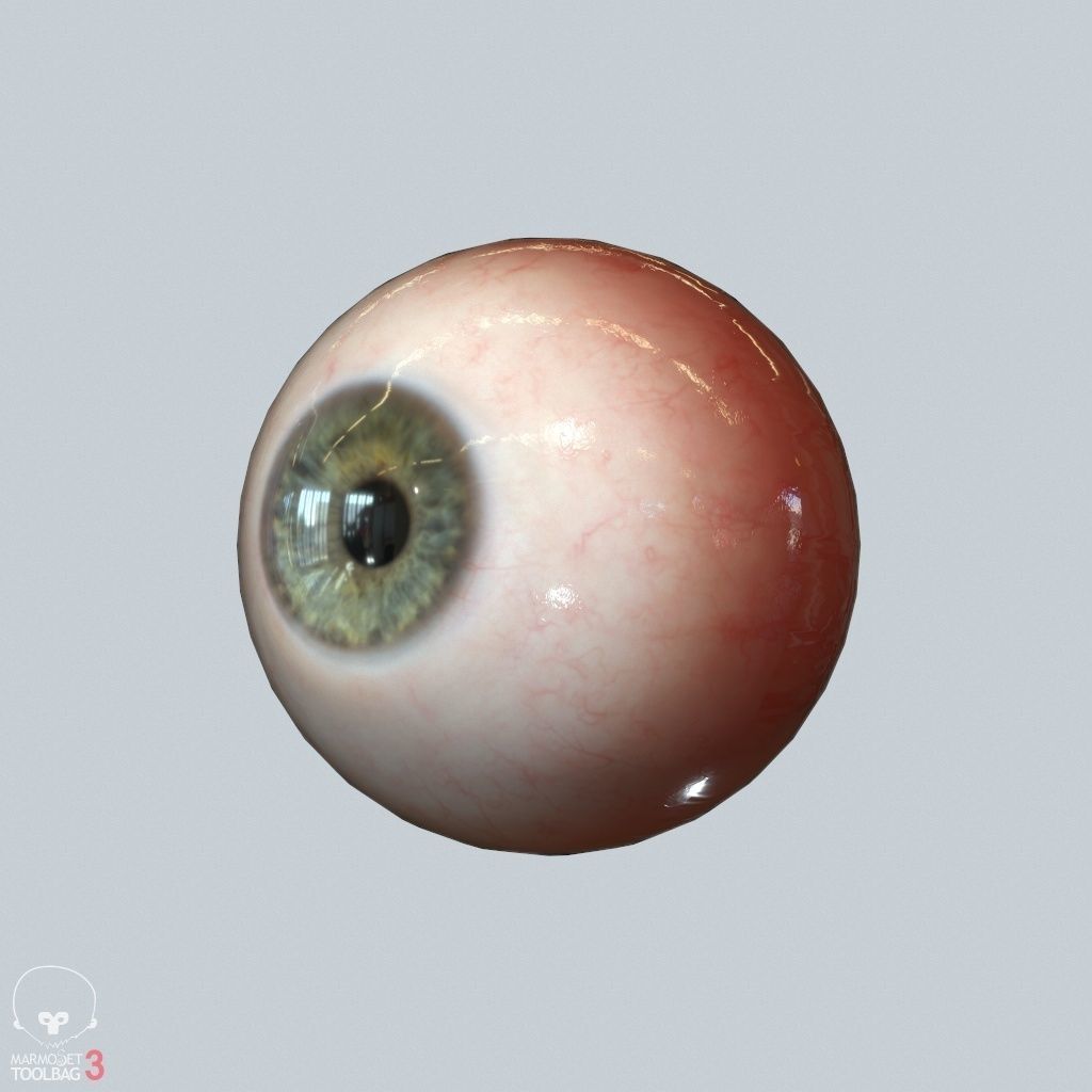 Eyeball Low-poly 3D model_11