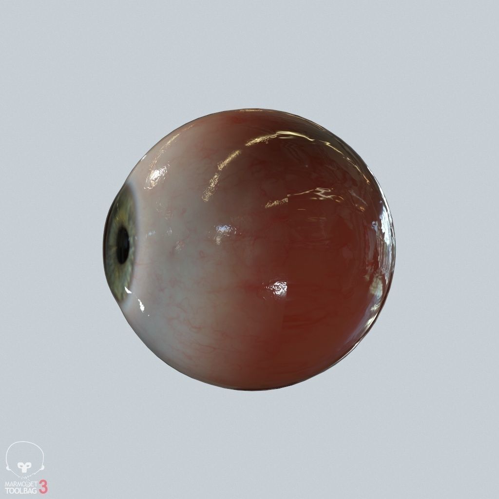 Eyeball Low-poly 3D model_7