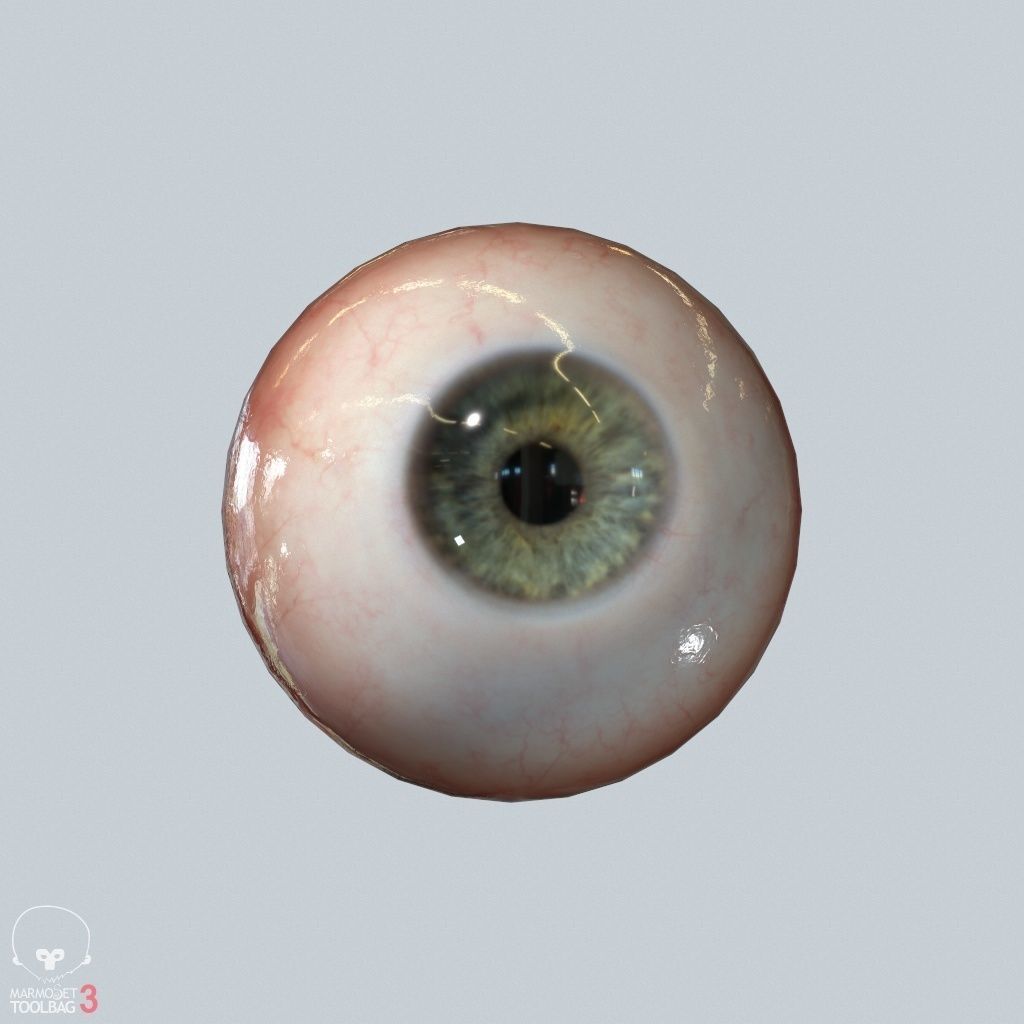 Eyeball Low-poly 3D model_3