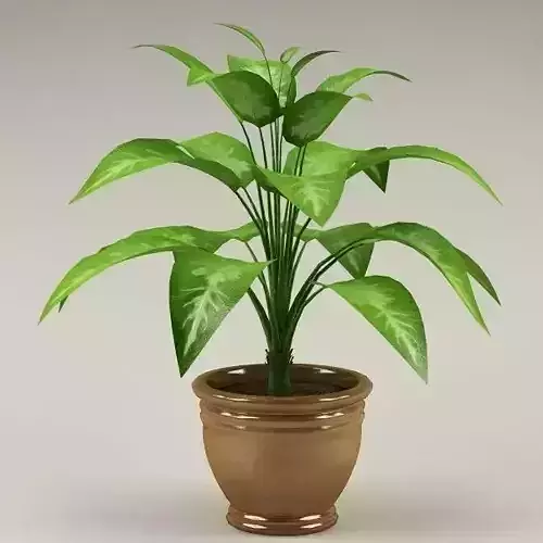 Plant in pot 3D model