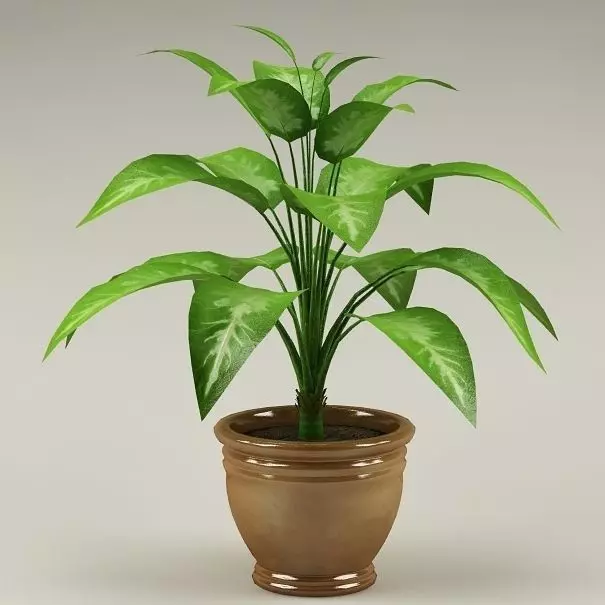 Plant in pot 3D model