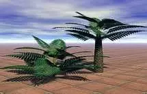 tree fern Free 3D model