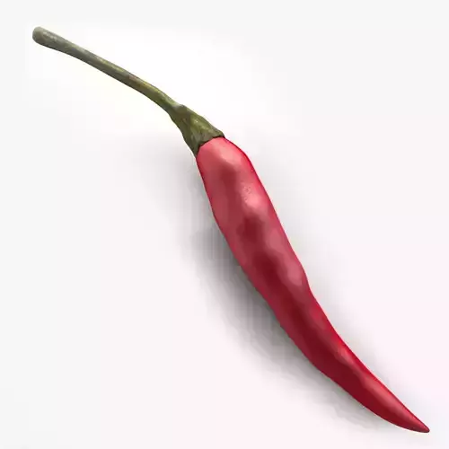 Chili pepper 3D model