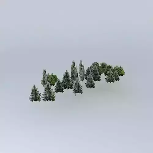 Woodland Promenade Mall 3