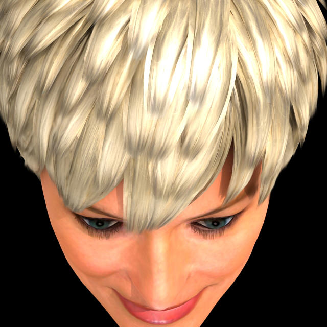 Sharon Stone Hair 3D model_3