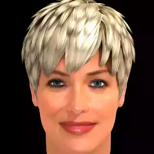 Sharon Stone Hair 3D model