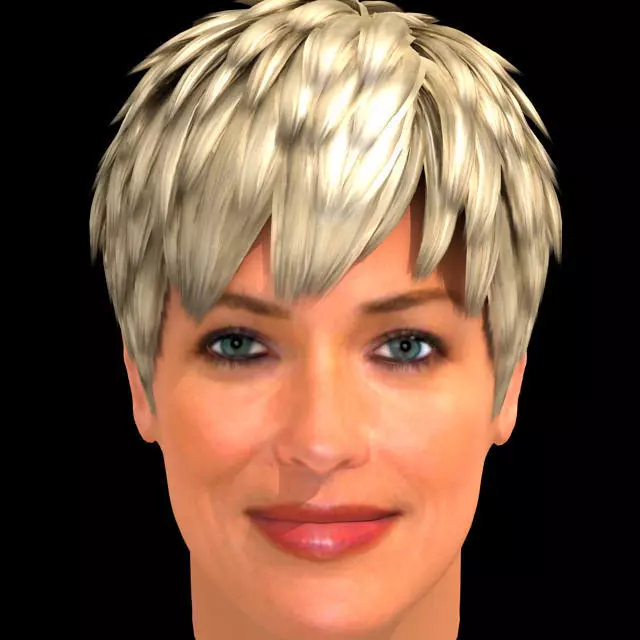 Sharon Stone Hair 3D model_0