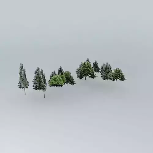 Woodland Promenade Mall 2