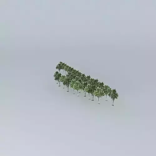 Woodland this Promenade Mall