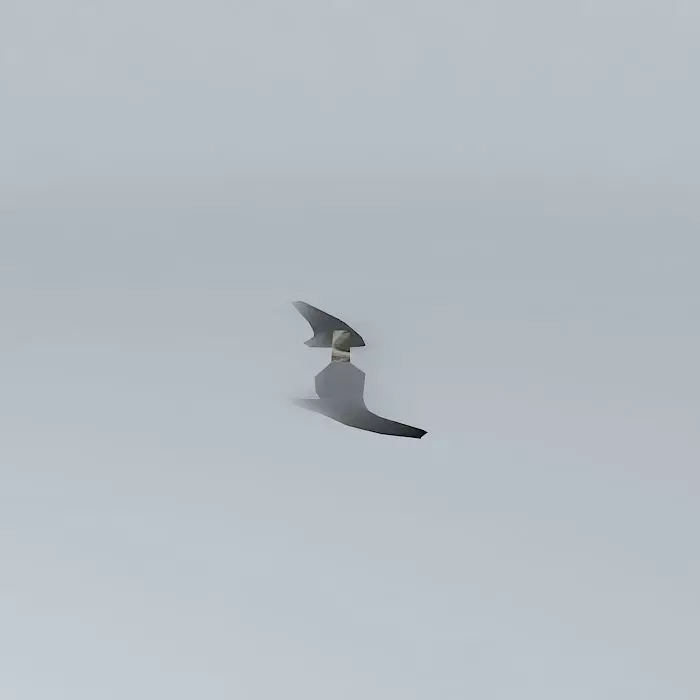 Bridge Thader Free 3D model