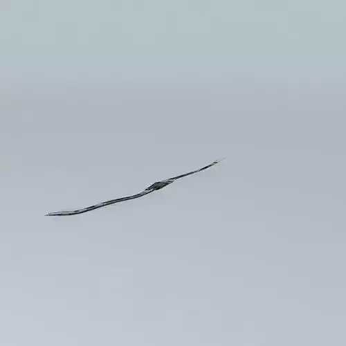 Paseo del Malecón Part 1