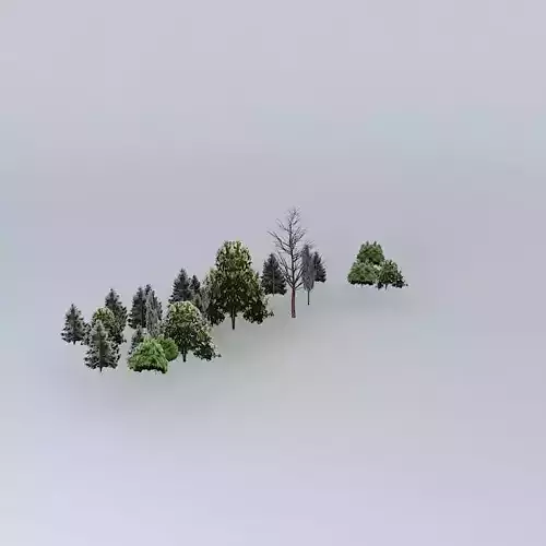 Woodland Promenade Mall 1