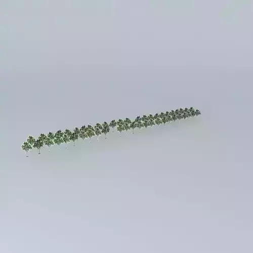 Woodland North Promenade Mall