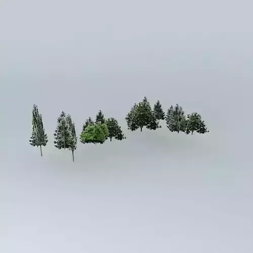 Woodland Promenade Mall 2